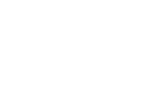 Orthopaedic Innovation