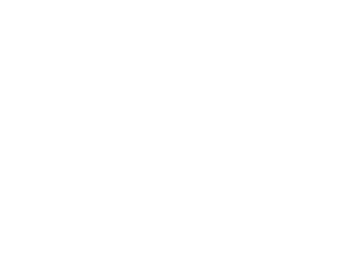 Orthopaedic Innovation
