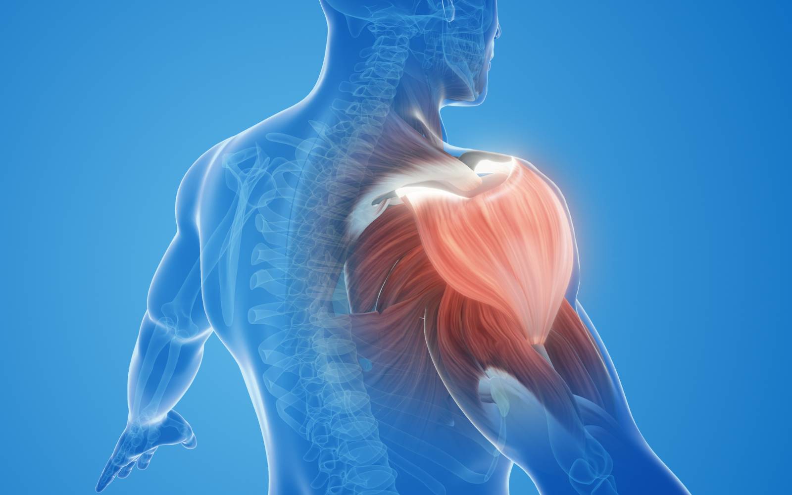Rotator Cuff Surgery: Success Rates, Risks and Outcomes