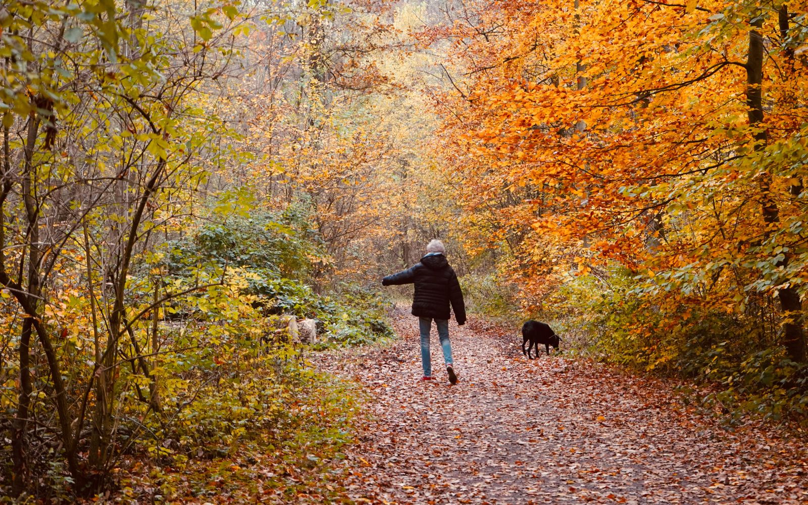 Hip Replacement and Mental Health: What the Evidence Shows